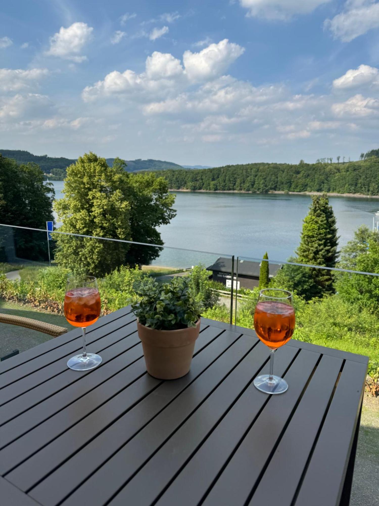 Ommi Kese See-Suite Sauna Biggesee Olpe bei Meschede Exteriör bild